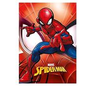 Spiderman - Plaid Marvel