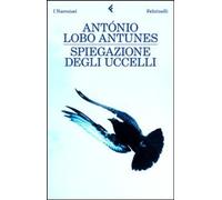 Spiegazione degli uccelli [Jun 09, 2010] Antunes, António Lobo and Martinetto, V