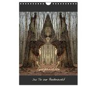 Spiegelwelten - Das Tor zur Anderswelt (Wandkalender 2026 DIN A4 hoch), CALVENDO Monatskalender: Einblick in die multidimensionale Welt der Natur