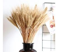 Spighe Di Grano Decorative | Gambi Di Grano Essiccato | 100 Pezzi/pacco Paglia Di Grano Secca Naturale | Vaso Decorato Con Fiori Secchi E Spighe Di Grano | Decorazione Per La Casa Fai Da Te