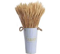 Spighe di Grano Essiccate Naturali di Grano Essiccato 100 Pezzi Spighe di Grano Fiori Secchi Decorativi Fiori Secchi Naturali per Decorazioni Casa Vaso Tavolo Matrimonio 40 cm,ColorePrimario
