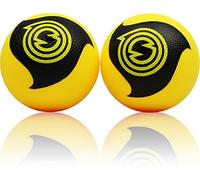 Spikeball Pro replacement balls (2 pack)