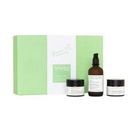 Spilanthox therapy - Starter Set - Anti Wrinkle Moisturizer (30 ml), Aloe Skin Wash (100 ml), Eye Lifting Fluid (15 ml) & Night Repair (50 ml) - con spilantolo e acido ialuronico