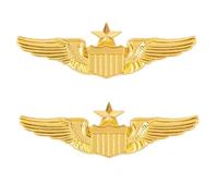 Spilla a forma di ali da aviatore, in metallo, color oro, per uniforme professionale, uniforme cosplay