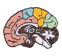 Spilla a Forma di Cervello Spilla per Anatomia Medica Spilla Bavero Spilla Decorativa a Forma di Cervello per Vestiti, Giacche, Gioielli Medici per Medico