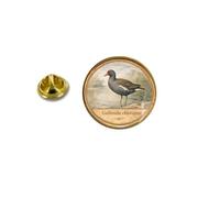 Spilla a forma di uccello, cigno tubercolato Cygnus olor Gallinule