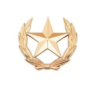 Spilla artistica con simbolo del raccolto in metallo, a forma di stella, emblemi di grano, elegante, decorazione per abbigliamento e borse, elegante spilla da bavero, Small, come descritto