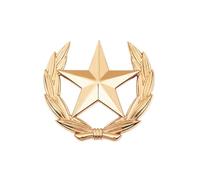 Spilla artistica con simbolo del raccolto in metallo, a forma di stella, emblemi di grano, elegante decorazione per abbigliamento e borse, accessorio versatile, Grande, come descritto