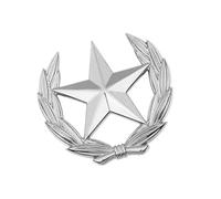 Spilla artistica con simbolo del raccolto in metallo, a forma di stella, emblemi di grano, elegante, decorazione per abbigliamento e borse, elegante spilla da bavero, Grande, come descritto