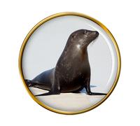 Spilla Con Foca Marina