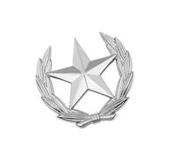 Spilla da bavero in lega dal design minimalista a forma di stella di grano, versatile, accessorio alla moda, per donne e uomini, per abiti minimalisti, spilla con simbolo del raccolto, Grande, come