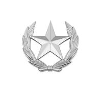 Spilla da bavero minimalista in lega con design a stella di grano versatile accessorio alla moda per donne uomini abiti spilla in lega, Grande, come descritto