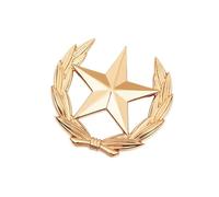 Spilla da bavero minimalista in lega con design a stella di grano versatile accessorio alla moda spilla per donne uomini abiti simbolica raccolta speranza spilla, Small, come descritto