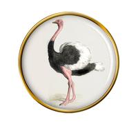 Spilla Da Collo Di Struzzo