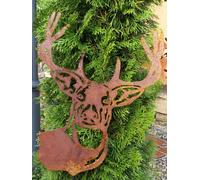 Spilla da giardino in acciaio inox testa di cervo occhielli inverno Natale se...