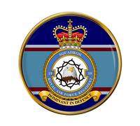 Spilla da Risvolto RAF Regiment 19 Squadron In Metallo Oro 23 mm