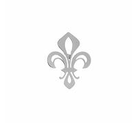 Spilla in acciaio inox Lily of the Valley Roman Spearhead segno Pin per gli uomini gioielli, smalto, gemma na