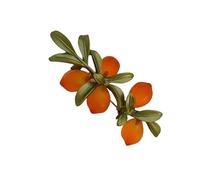 Spilla In Vetro Ispirata Agli Agrumi Sostenibili In Agrumi Per Professionisti Alla E Occasioni Alla In Vetro Versatile Accessorio Per Ufficio