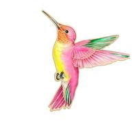 Spilla multifunzionale in metallo smaltato con colibrì per abiti cappelli Accessorio dai colori vivaci Regalo per gioielli da donna Spilla con colibrì