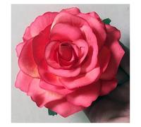 Spilla per capelli a forma di rosa 3 pezzi di rose artificiali, fermagli for capelli da sposa, spille for feste, for donna, copricapo(Sunset red)