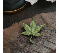 Spilla per piante smaltate da palazzo,