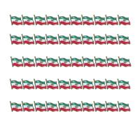 Spilla personalizzabile con emblemi patriottici iraniani con placcatura galvanica a prova per mostre culturali e uniformi Distintivo bandiera iraniana, One Size, come descritto