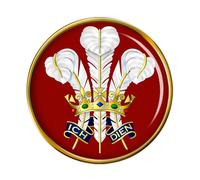 Spilla Pin Con Piume Surrey