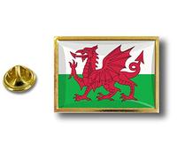 Spilla Pin pin's Spille spilletta Giacca Bandiera Distintivo Badge Galles