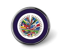 Spilla rotonda con bandiera dell'organizzazione nazionale degli Stati Uniti, spilla decorativa, distintivo per uomo e donna