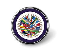 Spilla rotonda con bandiera dell'organizzazione nazionale degli Stati Uniti, spilla decorativa, elegante, per donne e uomini