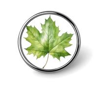 Spilla rotonda verde chiaro con foglia d'acero ad acquerello per uomo donna moda distintivo collare pin abito giacca zaino accessori