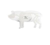 Spilla scheletro animale acrilico trasparente mouse coniglio pinguino uccello maiale spilla gatto per borsa abbigliamento distintivo gioielli, maiale ecologico e praticoTrattamento molto