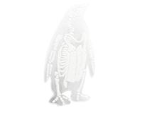Spilla trasparente Spilla scheletro animale Corpetto acrilico Creativo Gatto Maiale Coniglio Pinguino Resina Spille unisex Pin Per Borsa Abbigliamento Gioielli Regali Molto pratico e popolare Nice and