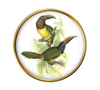 Spilla Verde Aracari (Di Edward Lear)