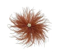 Spille con piume for donne Spille da bavero con strass Abiti da performance sul palco Accessori distintivi Gioielli(Brown)