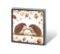 Spille per amanti del riccio della, per donne e uomini, spille con distintivo quadrato per