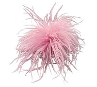 Spille piume, sciarpa, clip, accessori di gioielli, accessori di gioielleria, bouquet, materiale piuma, corpetto, spillo, perno, corsetto, talla única, come descritto