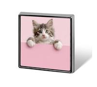 Spille unisex con gattino che regge uno striscione rosa, spille e fermagli quadrati leggeri da bavero, gioielli per abbigliamento, scialle e cappello.