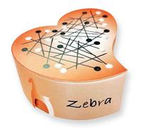 Spilli Pony Neri Zebra Acciaio 0,6x30mm Bianco e Nero