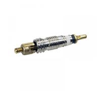 Spillo smontabile per valvole tubeless