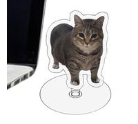 Spin Cat Decor - Oiiai Cat Ornament | Clear Acrylic Spin Cat Decorations | Funny Exquisite Creative Collectible Home Decor For Kitten Lovers For Bedroom, Living Room & Office