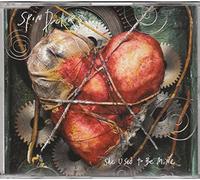 Spin Doctors - She Used To Be Mine