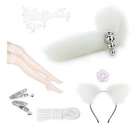 Spina anale Kit di giocattoli del sesso anale Coda Gancio anale Cosplay Coda Set di prodotti del sesso Anale Butt Plug Coda bianca （ZZ263）