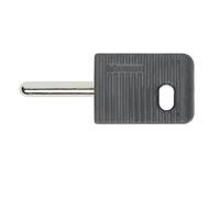 Spine Volanti - Chiave per predispositori 2124N