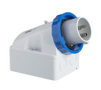 Spina Parete Ip67 2Pt 32A 220V ( SCHNEIDER cod. 83566 )