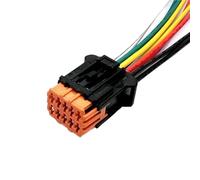 Spina sensore auto 98823-1011 98816-1011 Compatibile Con Chevrolet 10 Pin Maschio Femmina Cablaggio Presa Non Sigillata Connettore Automatico Impermeabile(10 Pin Female)