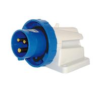 SPINA STAGNA 220 V.