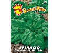Spinacio Gigante d'inverno semi in busta