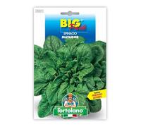 Spinacio matador Big Pack in busta termosaldata