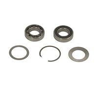 Spindle Bearing Kit MPA0804 per ROS 32 mm